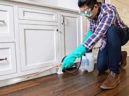 Real Estate Pest Inspections in Woodbranch, TX